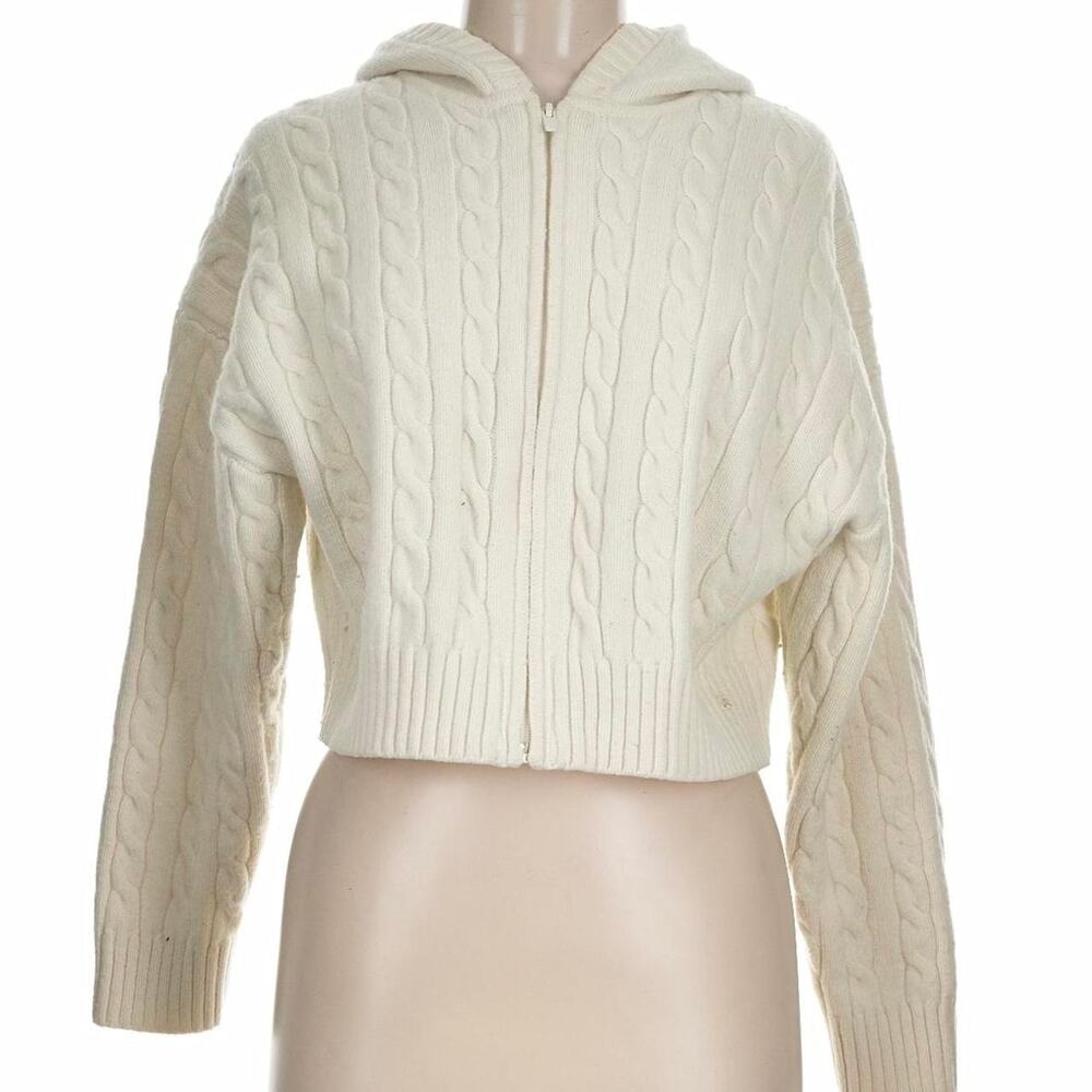Aritzia sunday best wool hoodie